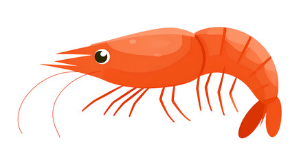 Cartoon illustration of a cooked, orange shrimp with long antennae and a dark background