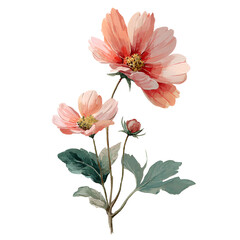 Watercolor painting of peach-colored flowers with green leaves and a black background