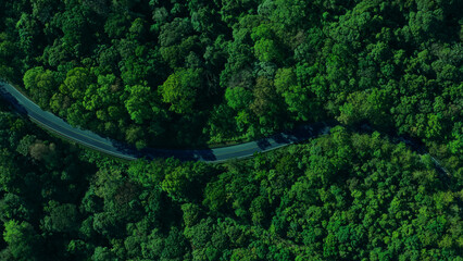 Forest road, road in beautiful autumn forest at sunset, trees with red and orange leaves, Beautiful landscape view from flying drone in Nature, Rainforest ecosystem, electric car driving, EV green,