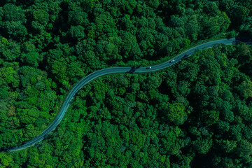 Forest road, road in beautiful autumn forest at sunset, trees with red and orange leaves, Beautiful landscape view from flying drone in Nature, Rainforest ecosystem, electric car driving, EV green,