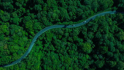 Forest road, road in beautiful autumn forest at sunset, trees with red and orange leaves, Beautiful landscape view from flying drone in Nature, Rainforest ecosystem, electric car driving, EV green,
