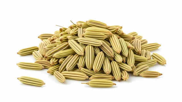 Aromatic Saunf Seeds &mdash; Clean Studio Isolation
