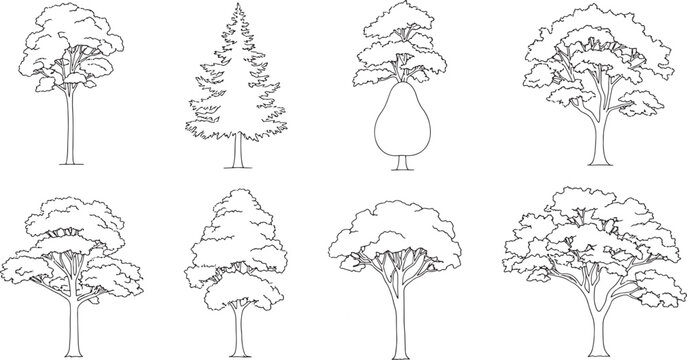Set of tree elevation line art symbols for architectural sections, minimalist front view vegetation outlines for landscape drawing and site sketches.
