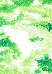 手描きの水彩イラスト　木漏れ日　背景