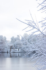 Stadtparksee in Hamburg im Winter
