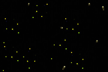 Warm White Lights Speckled