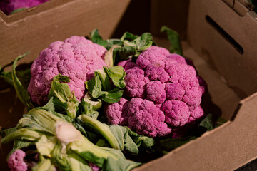 Fresh purple cauliflower displayed in a cardboard box for sale at a market.