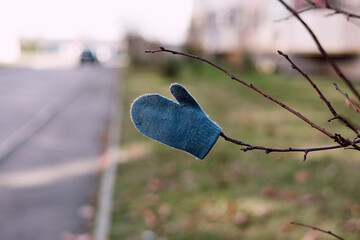 Single worn mitten hanging on a tree branch, symbolizing childhood poverty.