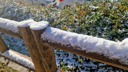 Fresh snow covering wooden fence and green bushes