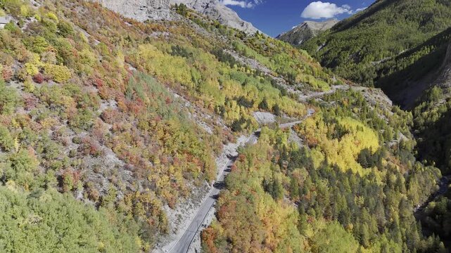Drone view of autumn forest with vibrant fall colors