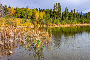 Fototapeta premium Vermillion Lakes