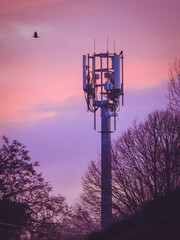 A mobile phone mast during a colourful sunset with birds flying in the background