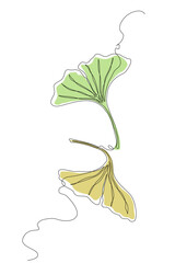 Minimalist botanical illustration of ginkgo biloba leaves in green and yellow tones, drawn in a hand-sketched line art style, symbolizing nature, growth, and herbal plant concepts. Editable stroke