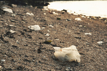 Plastic containers and various garbage scattered on the sand at the seaside. Environmental pollution and marine debris problem.