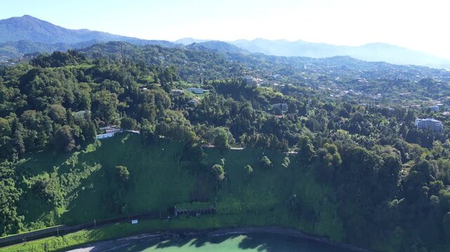 Lush green botanical garden on Black Sea coast in Batumi Georgia. 4K drone footage shows dense evergreen vegetation along a sunny shoreline with vivid colors and calm coastal atmosphere.