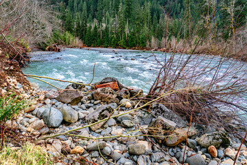 Snoquamie River In Winter 10