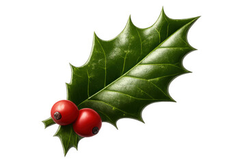 Holly leaf and berries symbolizing christmas and winter holidays, celebrating festive traditions on transparent background