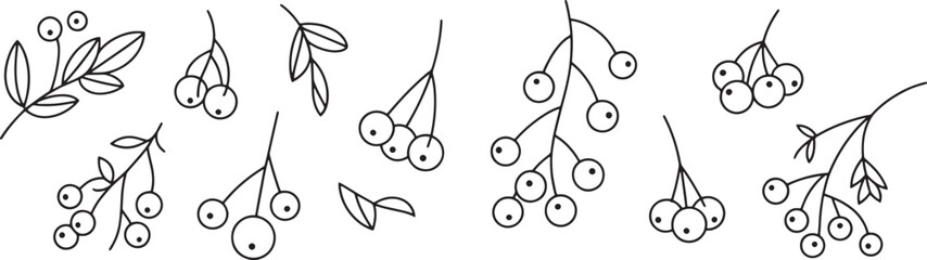 line drawing of various berry branches with leaves and berries © MR JOKER