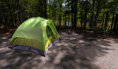 Forested campsite in the day with a tent up and kindling in the fire ring