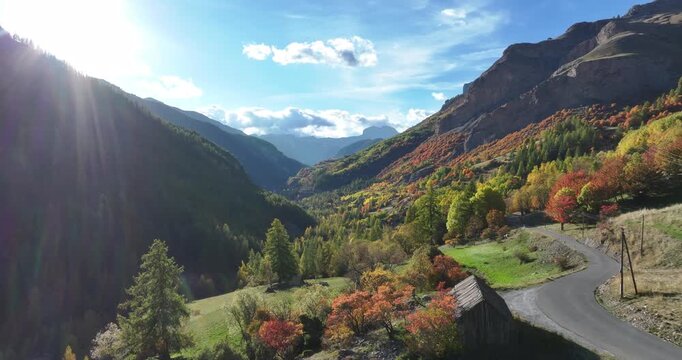 Drone view of autumn forest with vibrant fall colors