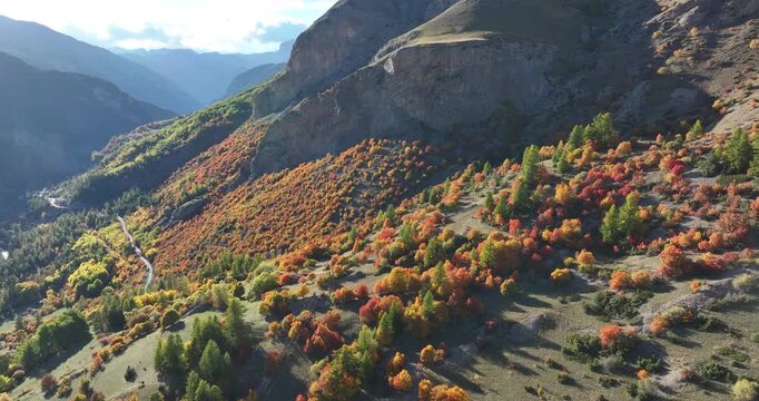 Drone view of autumn forest with vibrant fall colors