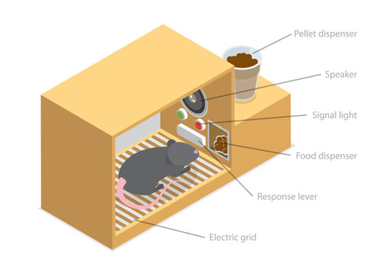 3D Isometric Flat  Illustration of Skinner Box, Laboratory Chamber for Animals