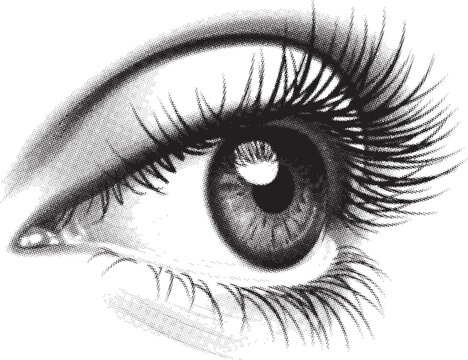 A captivating vintage-style illustration of a human eye with detailed lashes and eyebrow