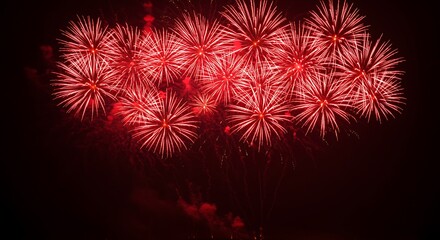 Vibrant red fireworks illuminate the dark night sky creating a spectacular festive celebration scene