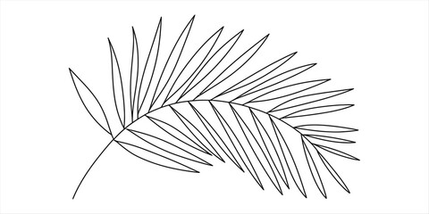 Minimalist outline illustration of a single tropical palm leaf frond on a white background Vector, illustration © RK Drawing Gallery