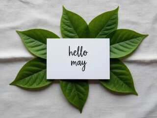 Handwritten Hello May Note With Green Leaves card 1