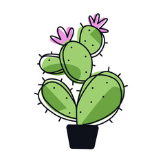 Round cactus with pink flowers in a pot. Vector botanical illustration for children's posters, stickers, prints