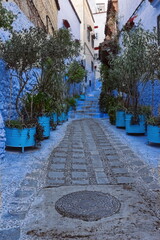 Passageway in the medina painted in several shades of blue with some white, lined with metal planters containing green plants. Chefchaouen-Morocco-025