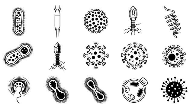 Various types of bacteria illustrations isolated on white background, Vector