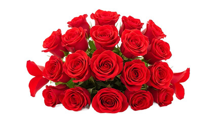 Dense cluster of vibrant red roses arranged in a horizontal row, background removal and isolated subject for floral borders, banners and headers.