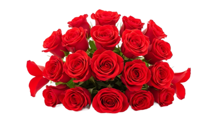 Dense cluster of vibrant red roses arranged in a horizontal row, background removal and isolated subject for floral borders, banners and headers.
