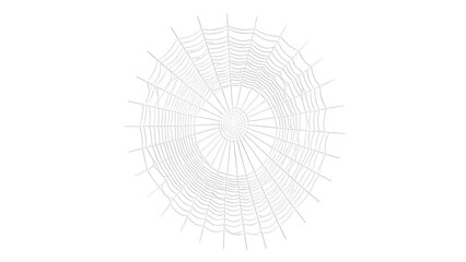 isolated premium quality Spider Web on Transparent Background Free PNG.[STOCK]file.