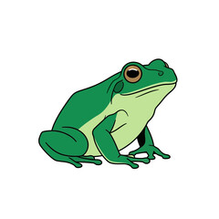 Fototapeta premium Green Frog Illustration - Cute Amphibian Animal Cartoon