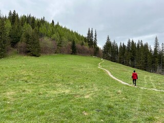 Person Walking Along Path Through Green Meadow.
Person in the red jacket walking along narrow path through green meadow with forest trees under cloudy sky.
