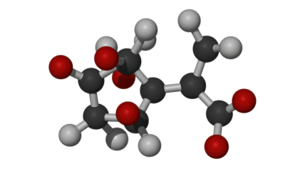 Citric acid molecule model