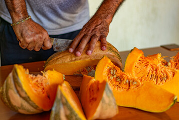 ab&oacute;bora aos peda&ccedil;os