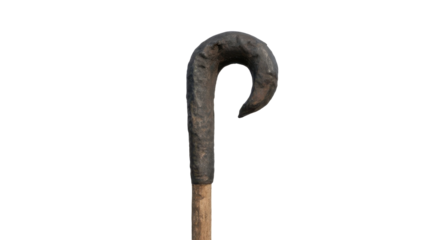 Antique Shepherd's Crook Walking Stick