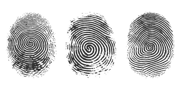A unique black ink fingerprint vector illustration featuring a detailed thumbprint pattern for digital identity security and forensic criminal evidence identification design