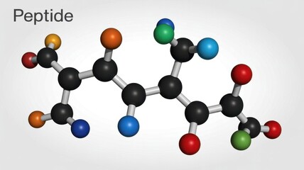 Peptide Molecule Structure