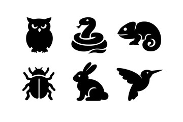 Obraz premium Animal Icon Collection. Solid vector icons of land and air animals: owl, snake, chameleon, beetle, rabbit, hummingbird No text, No