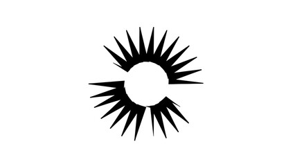 Abstract Black Sunburst Explosion Impact Icon on Isolated White Background © 306