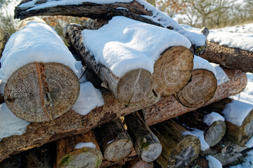 Firewood Covered with Snow in Bavaria
