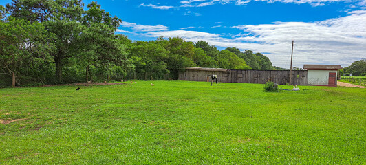 s&iacute;tio com cavalo