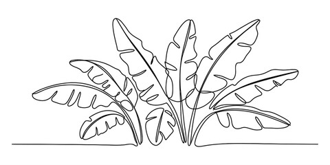Simple continuous line art illustration of tropical banana leaves on a white background Vector, illustration © Single Line Art