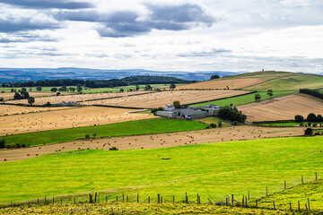 Fototapeta premium Scotish fields and farms, Southeast Scotland, UK