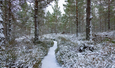Cascading water in the River Dee in snow and ice © Sarah